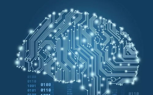 數博會期間出行攻略 執行尾號限行及開四停四，網絡技術服務保駕護航